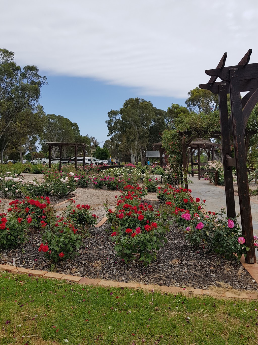 Willunga Jubilee Rose Garden | rose garden, Willunga SA 5172, Australia