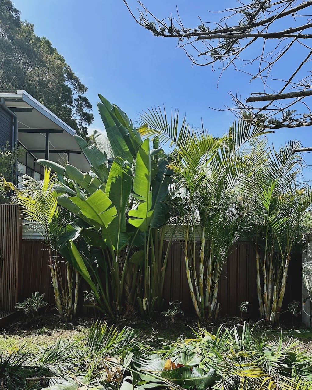 SprucedUP Lawns and Gardens | 252 Lakedge Ave, Berkeley Vale NSW 2261, Australia | Phone: 0402 858 349