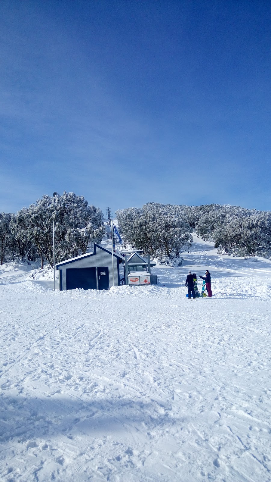 Mt Baw Baw Winter Guest Services | travel agency | Currawong Rd, Baw Baw Village VIC 3833, Australia | 0351651136 OR +61 3 5165 1136