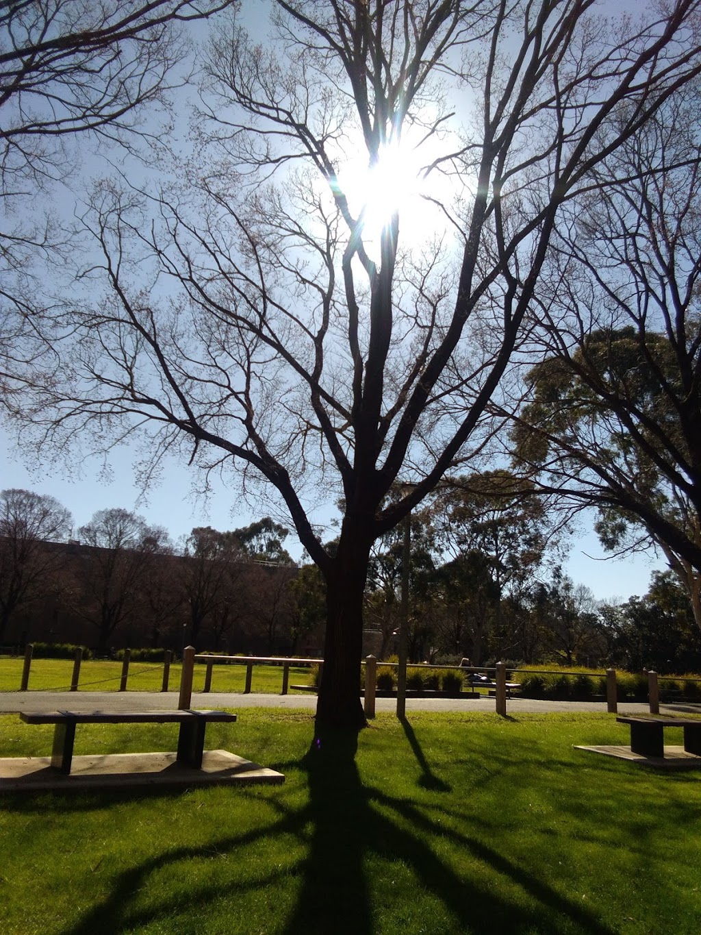 Simpson Lawn | park | Bundoora VIC 3083, Australia