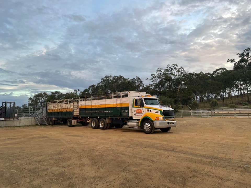 Wilds Livestock Transport | 395 Landsborough Maleny Rd, Bald Knob QLD 4552, Australia | Phone: 0428 713 514