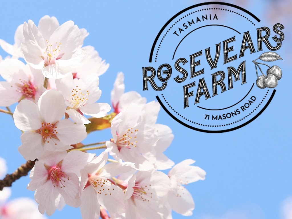 Rosevears Farm | 71 Masons Rd, Rosevears TAS 7277, Australia | Phone: 0428 376 448