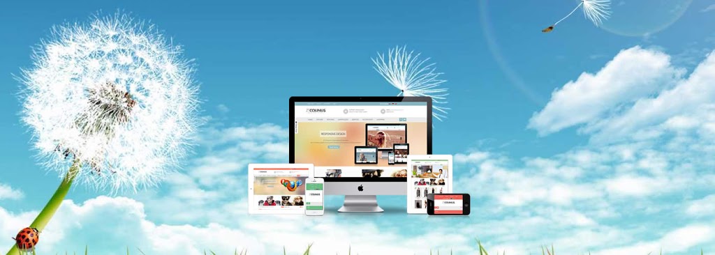 ST Web Design | 9 Kennedy St, Mundulla SA 5270, Australia | Phone: 0424 725 563