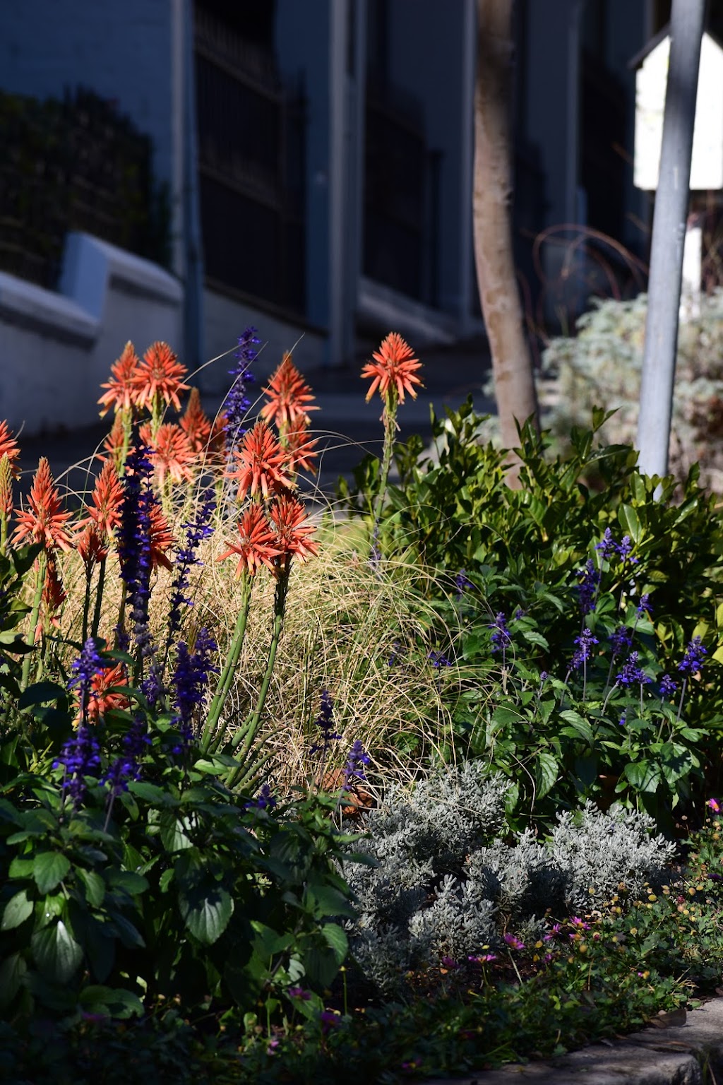 Florioscape Gardens | Lennox Head NSW 2478, Australia | Phone: 0428 059 104