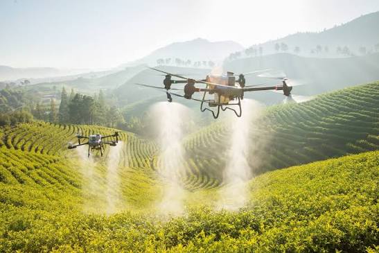 Practical Drone Services | 20 Blyth St, Condamine QLD 4416, Australia | Phone: 0477 870 305