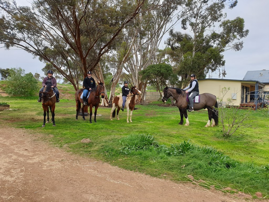 Ryans Ranch horse agistment & training complex | 540-560 Windermere Rd, Lara VIC 3212, Australia | Phone: 0419 986 799