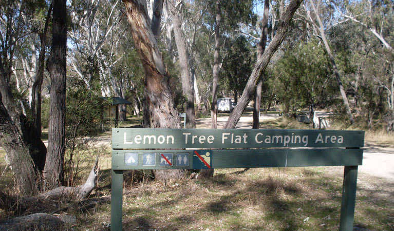 Lemon Tree Flat | campground | Lemon Tree Flat Road, Atholwood NSW 2361, Australia | 0267364298 OR +61 2 6736 4298