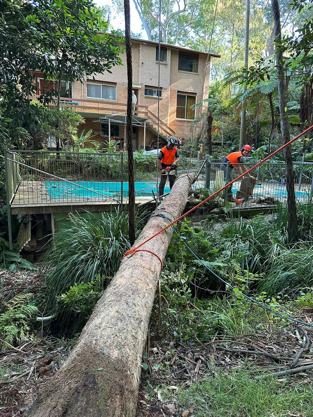 Pro Arborists northern beaches | 42A Tennyson Rd, Cromer NSW 2099, Australia | Phone: 0452 200 715