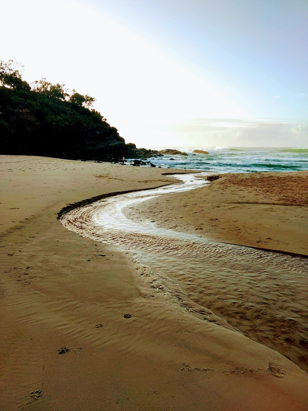 Sunshine Beach Dog exercise area | park | Sunshine Beach QLD, Australia