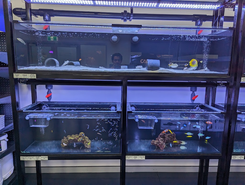 Reeftopia Australia | Unit 7/47 Cook Ct, North Lakes QLD 4509, Australia | Phone: (07) 3132 8055