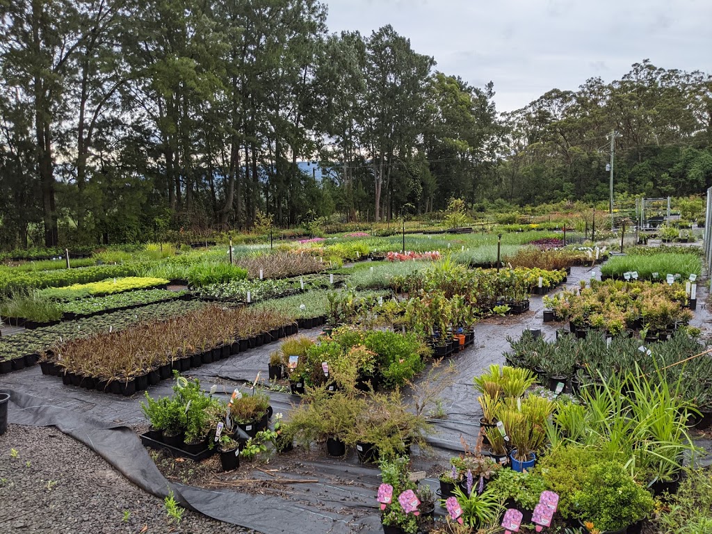 Berry Wholesale Nursery | 45 Agars Ln, Berry NSW 2535, Australia | Phone: (02) 4464 1102