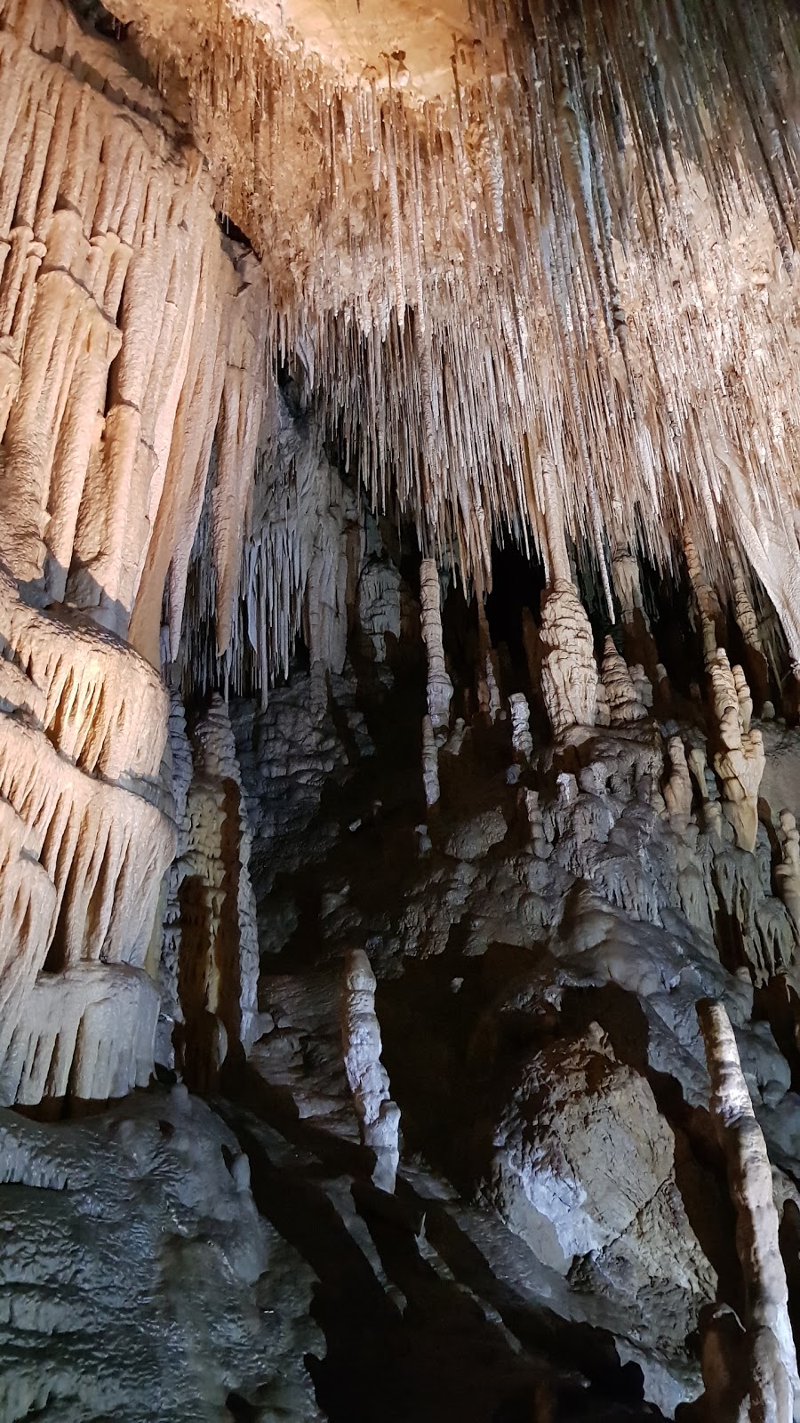 Hastings Caves and Thermal Springs | 754 Hastings Caves Rd, Hastings TAS 7109, Australia | Phone: (03) 6298 3209