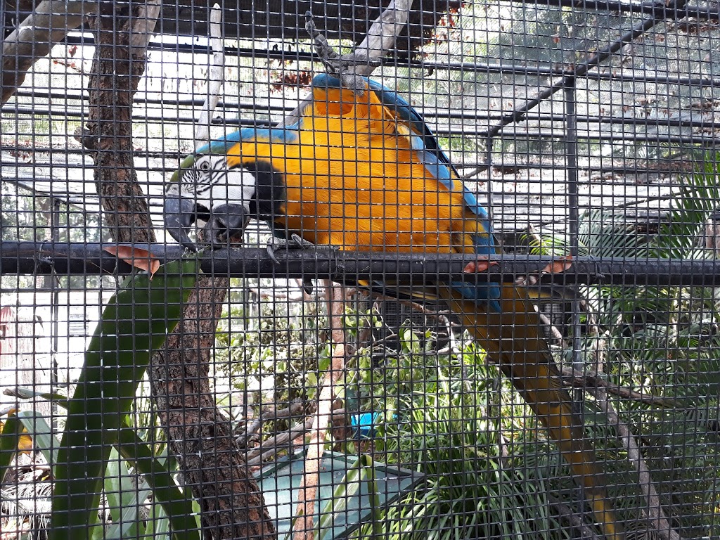Rockhampton Zoo | zoo | 93 Spencer St, The Range QLD 4700, Australia | 0749329000 OR +61 7 4932 9000