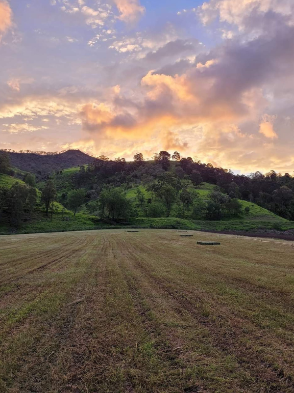 Last Straw Hay Sales | 396 E Haldon Rd, East Haldon QLD 4343, Australia | Phone: 0478 092 561