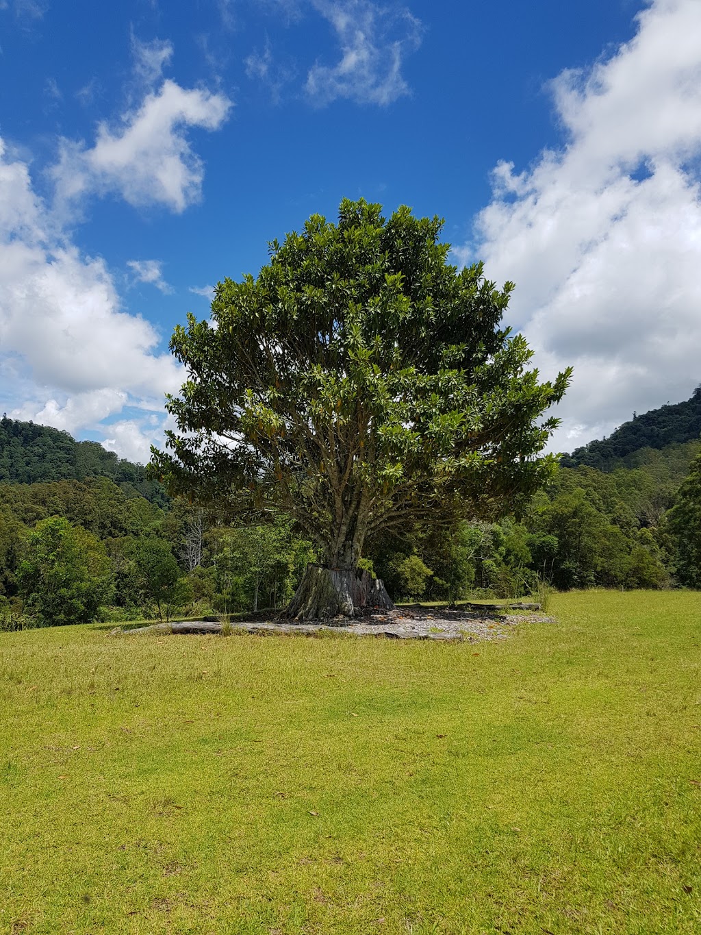 Mount Clunie Cabins | lodging | Mount Clunie Rd, Woodenbong NSW 2476, Australia | 0746665118 OR +61 7 4666 5118