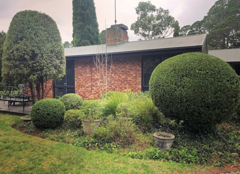 Highlands Hedging and Gardens | 1385 Wilson Dr, Colo Vale NSW 2575, Australia | Phone: 0452 399 294