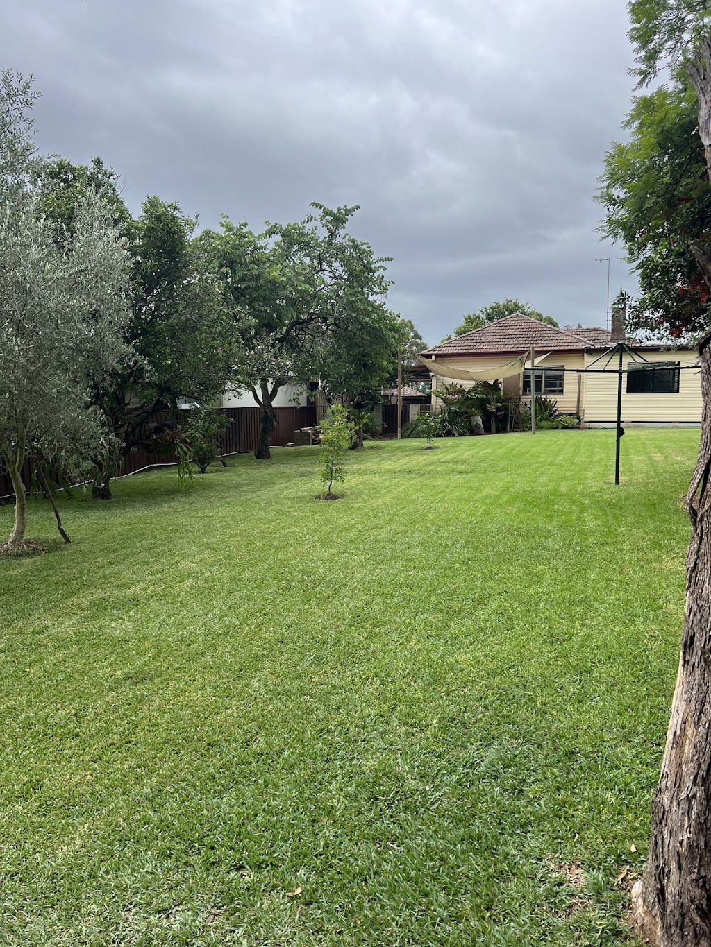 Leaf It To Us Bega Valley | 181 Shady Ln, Wallagoot NSW 2550, Australia | Phone: 0404 288 989