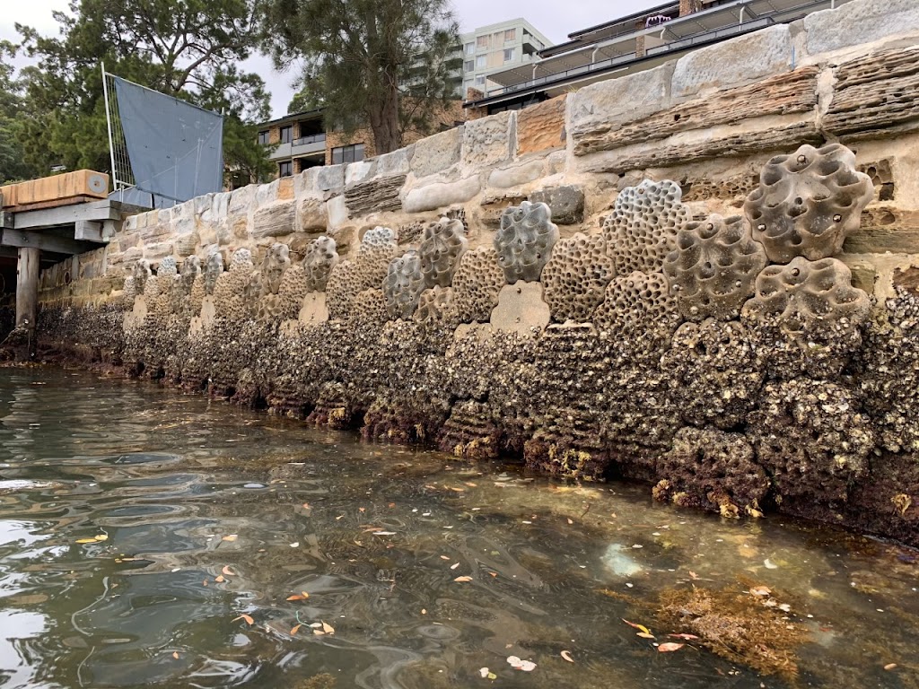 Living Seawalls |  | 19 Chowder Bay Rd, Mosman NSW 2088, Australia | 0294354600 OR +61 2 9435 4600