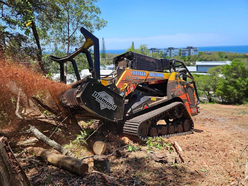 Protrax Vegetation Management | Twin View Rd, Elimbah QLD 4516, Australia | Phone: 0405 816 527