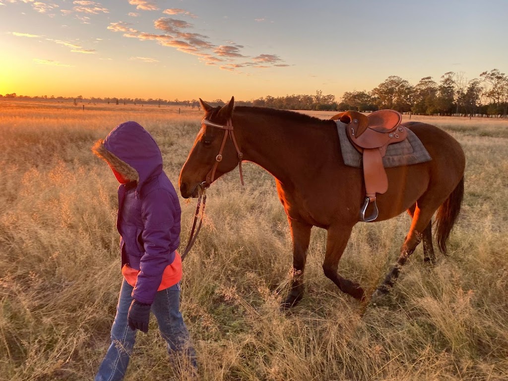 BKR Saddlery | store | 251 Myall Park Road, Glenmorgan QLD 4423, Australia | 0458091261 OR +61 458 091 261