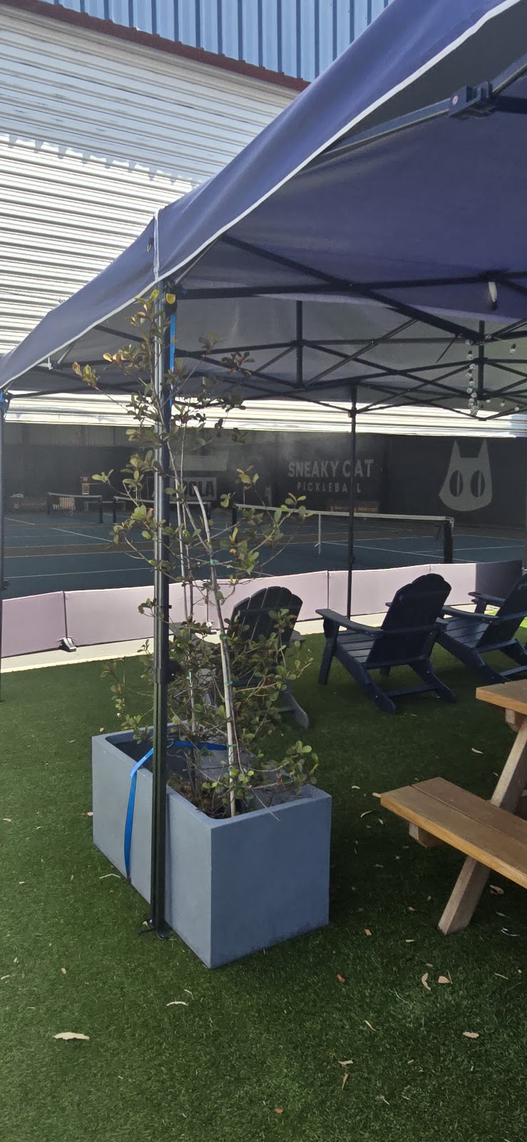 Sneaky Cat Pickleball | 3/58-98 Bennu Cct, Thurgoona NSW 2640, Australia | Phone: (02) 6057 9334