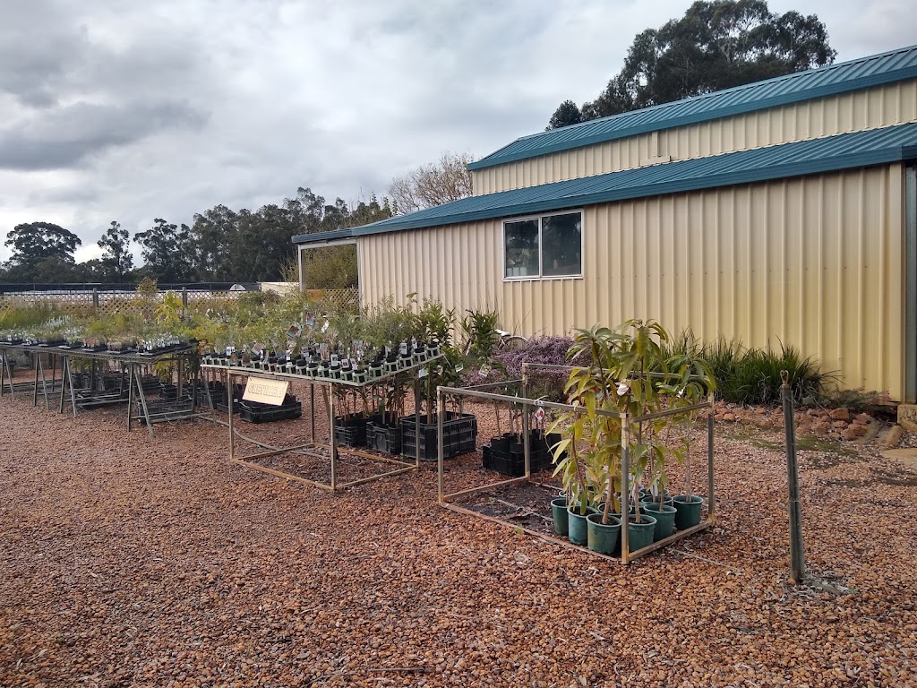 Muchea Tree Farm | 94 Archibald St, Muchea WA 6501, Australia | Phone: (08) 9571 4090
