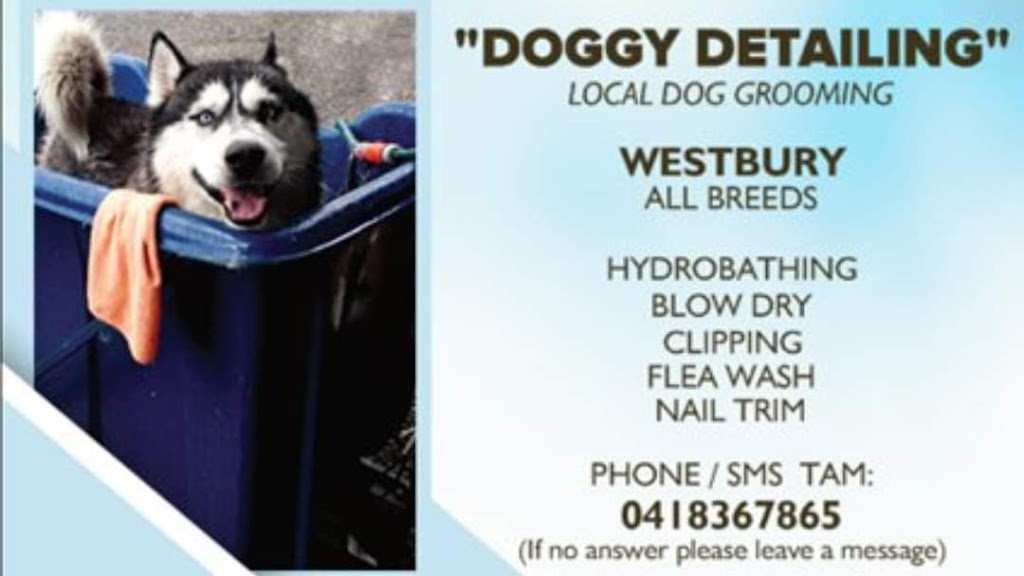 DOGGY DETAILING | 224 Veterans Row, Westbury TAS 7303, Australia | Phone: 0418 367 865