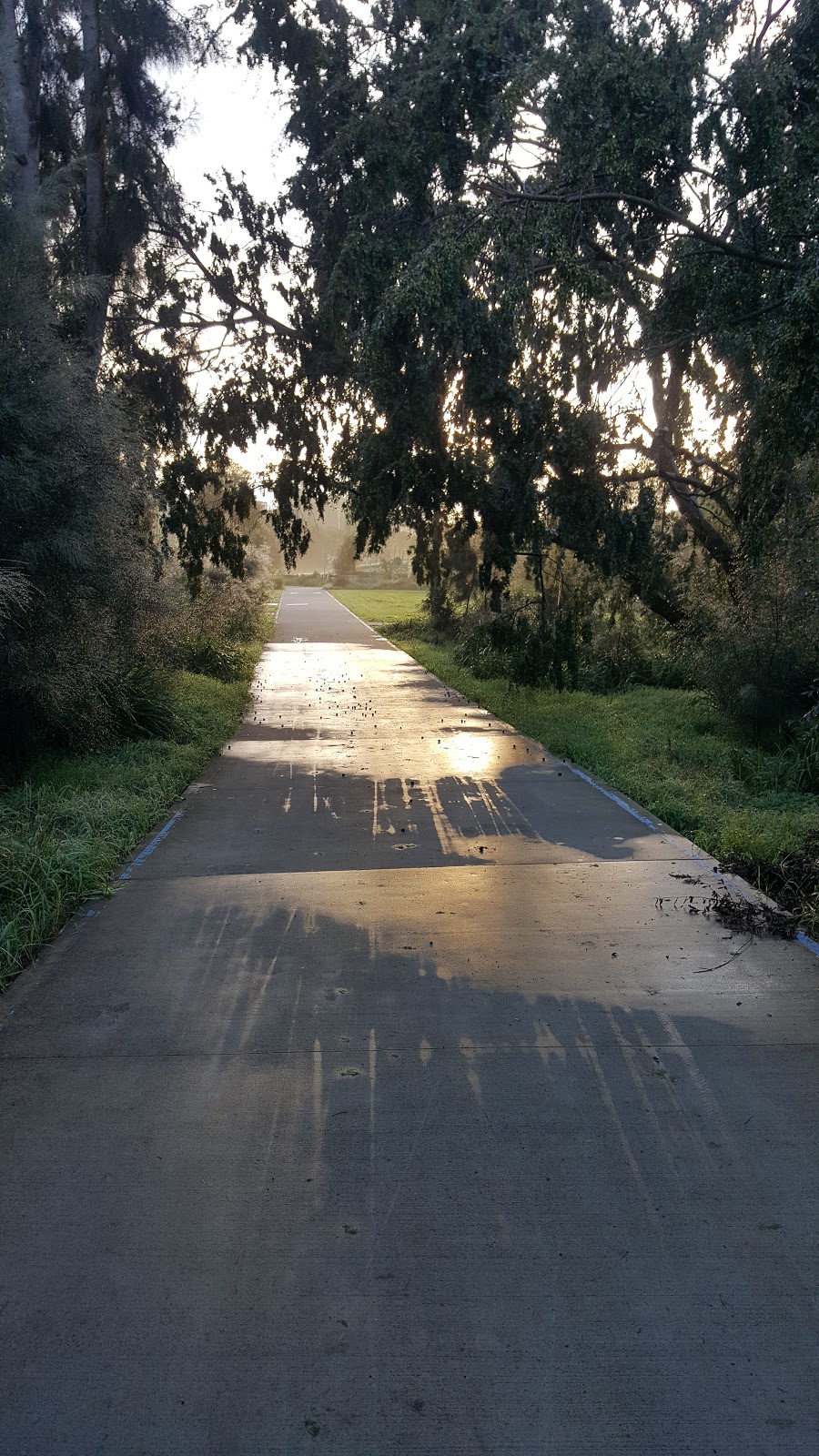 Rydalmere Bike Path | park | 27 Pike St, Rydalmere NSW 2116, Australia