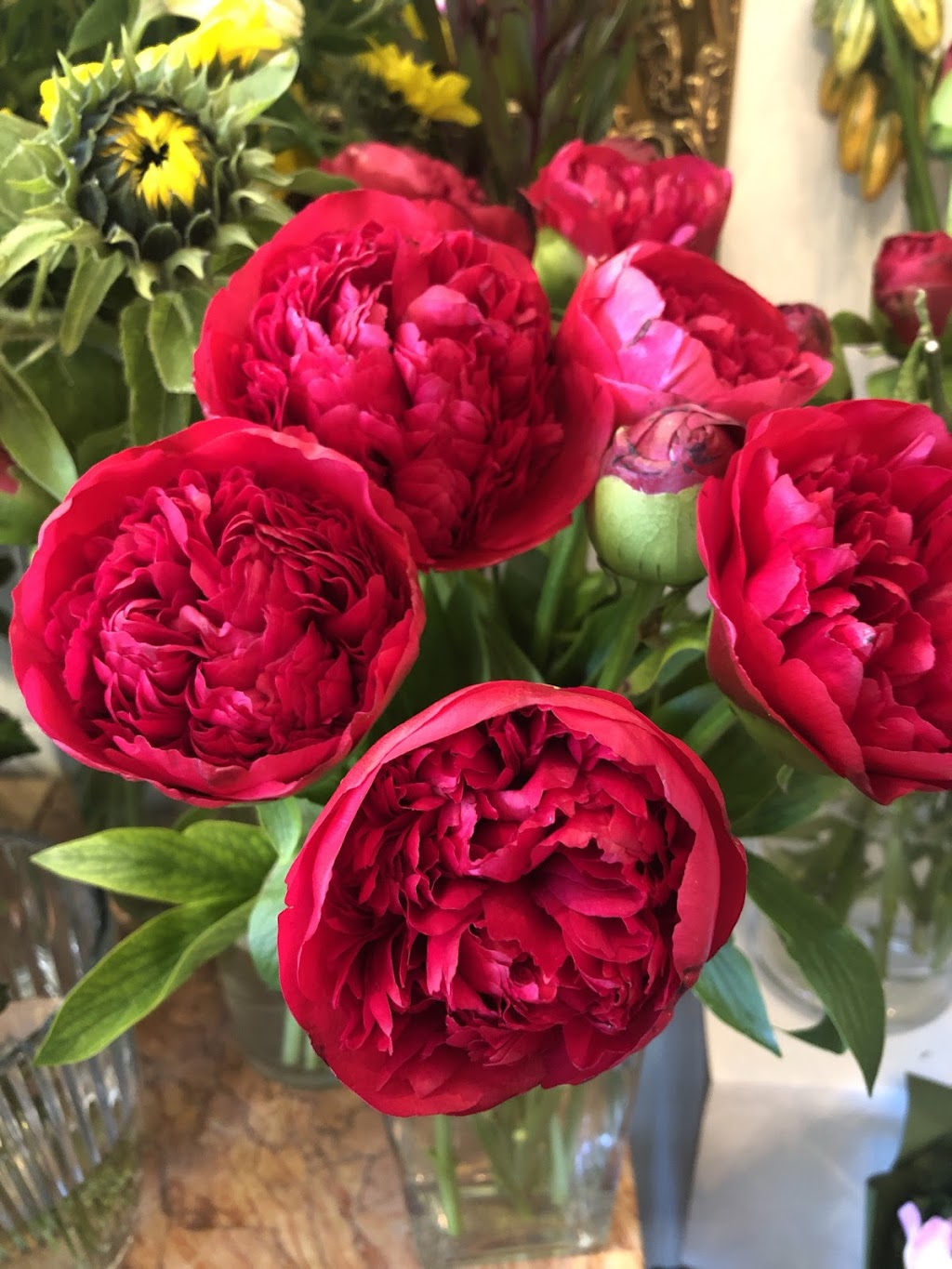 Mr Collins Florist | florist | 154 Pakington St, Geelong West VIC 3218, Australia | 0352295298 OR +61 3 5229 5298