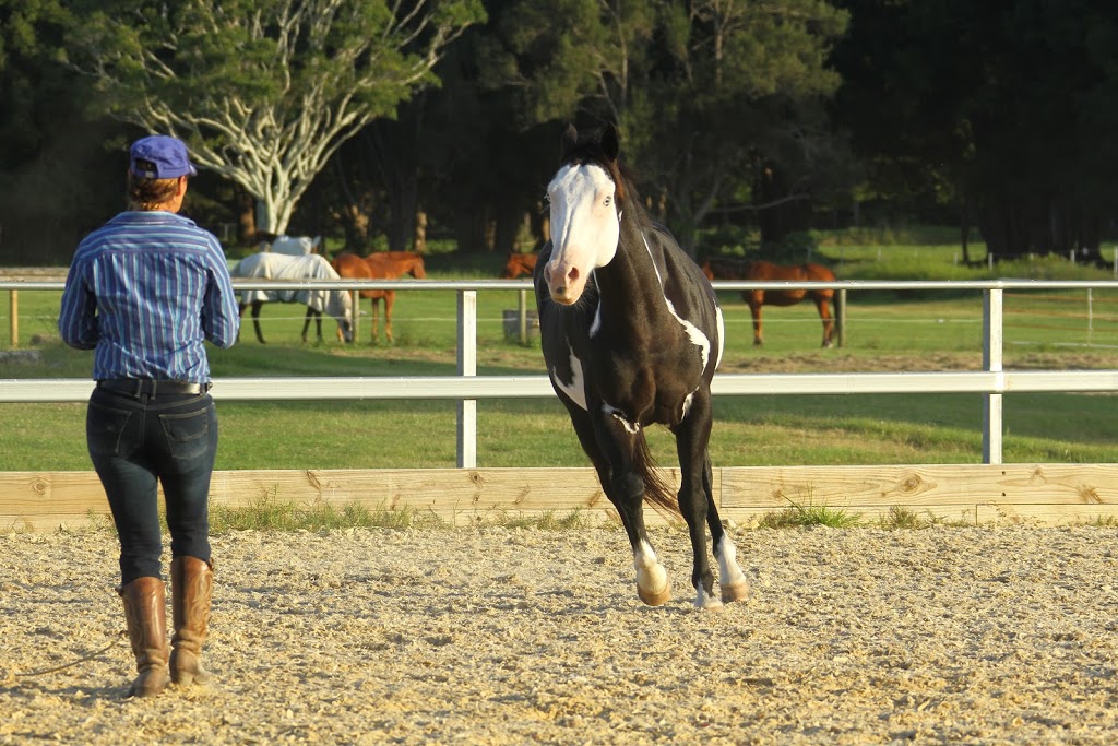 Tanja Kraus Horsemanship |  | 29 Tallawudjah Creek Rd, Glenreagh NSW 2450, Australia | 0412592033 OR +61 412 592 033
