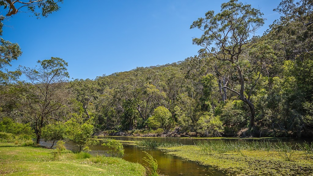 Fig Tree Flat picnic area | park | Royal National Park NSW 2233, Australia