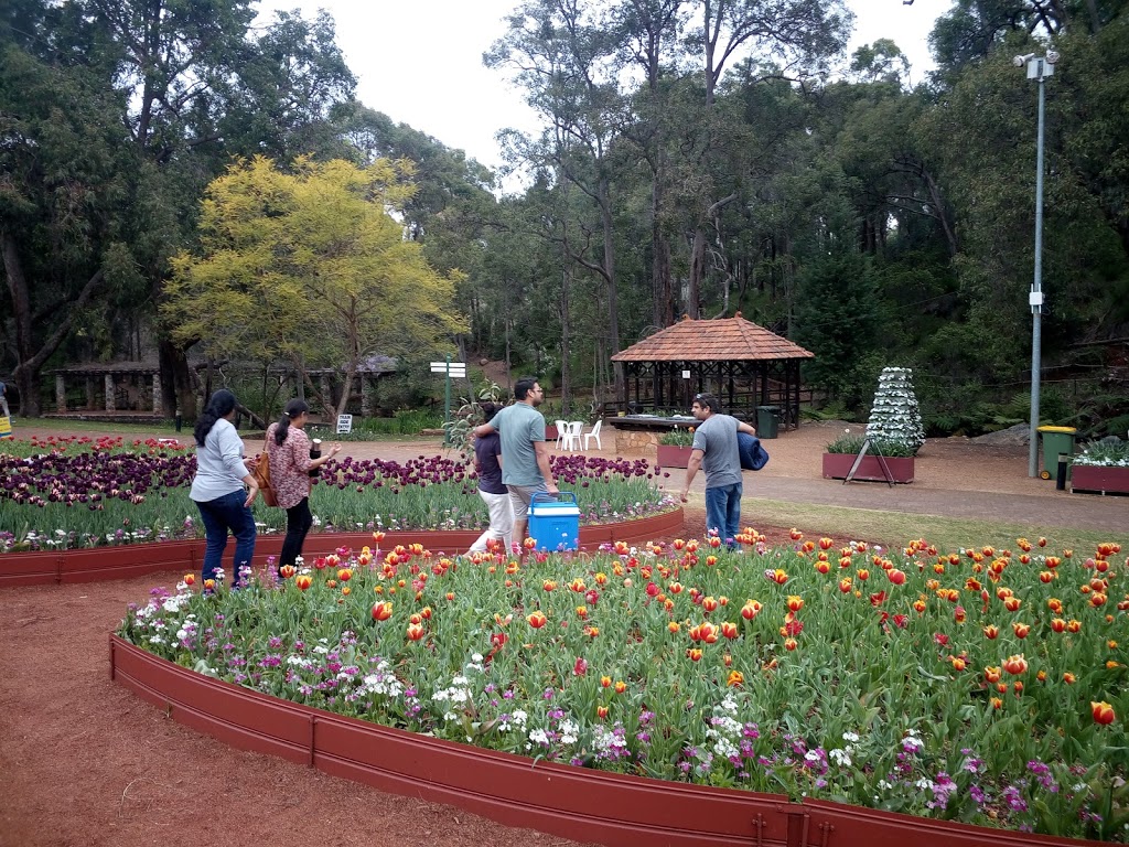 Araluen Botanic Park | 362 Croyden Rd, Roleystone WA 6111, Australia | Phone: (08) 9234 2200