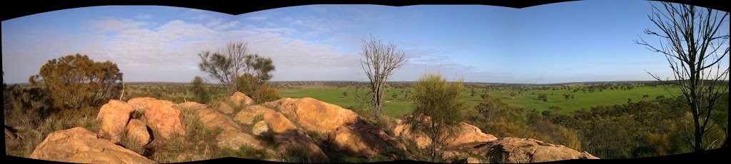 Mount Monster Conservation Park | Mount Monster Rd, Keith SA 5267, Australia | Phone: (08) 8762 2340