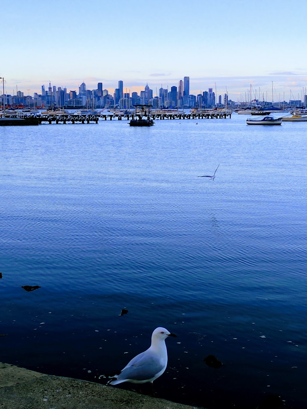 John Morley Reserve | park | Bay Trail W, Williamstown VIC 3016, Australia