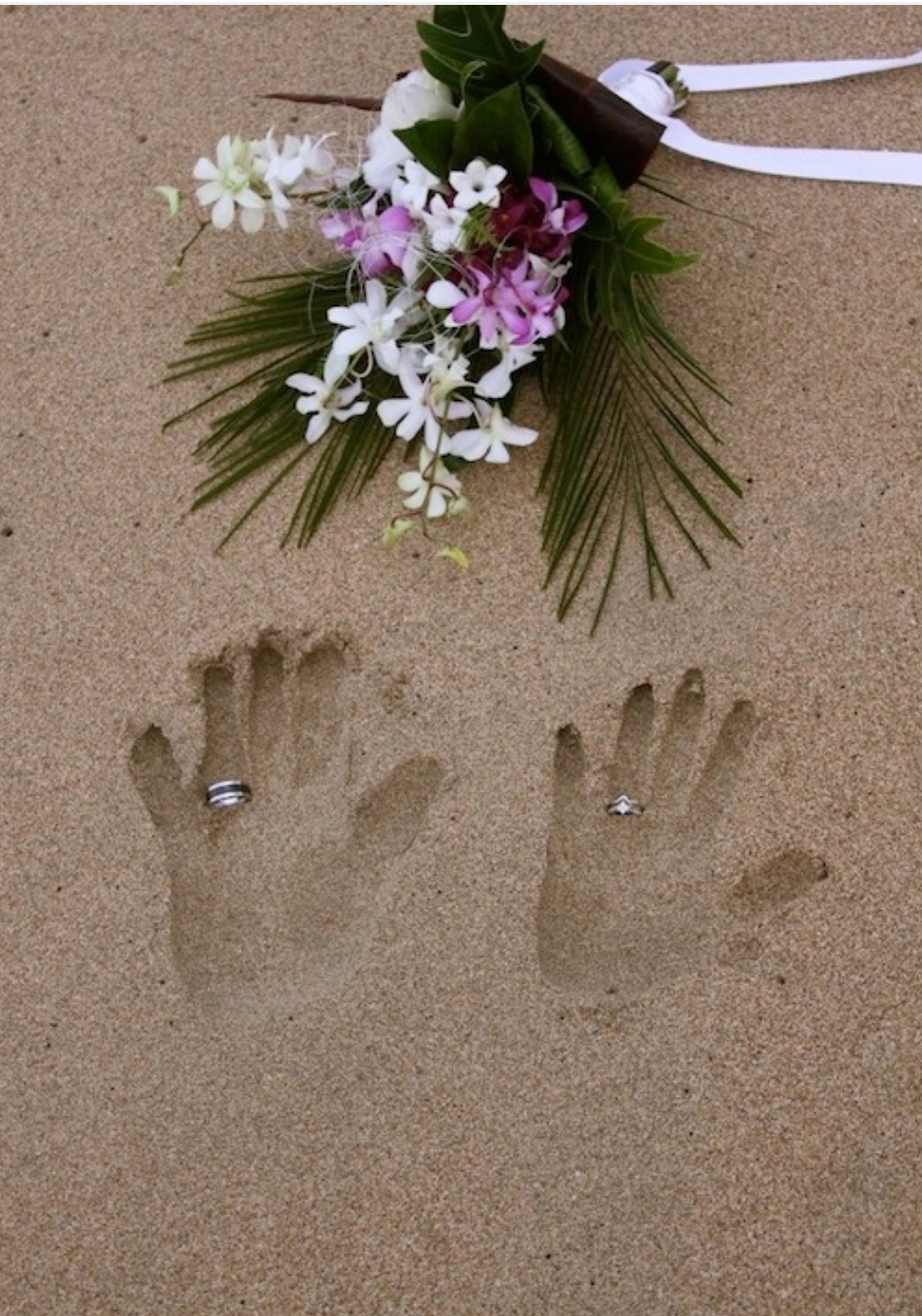 Shells Weddings ~ Civil Marriage Celebrant | 14 Success St, Madora Bay WA 6210, Australia | Phone: 0459 493 675