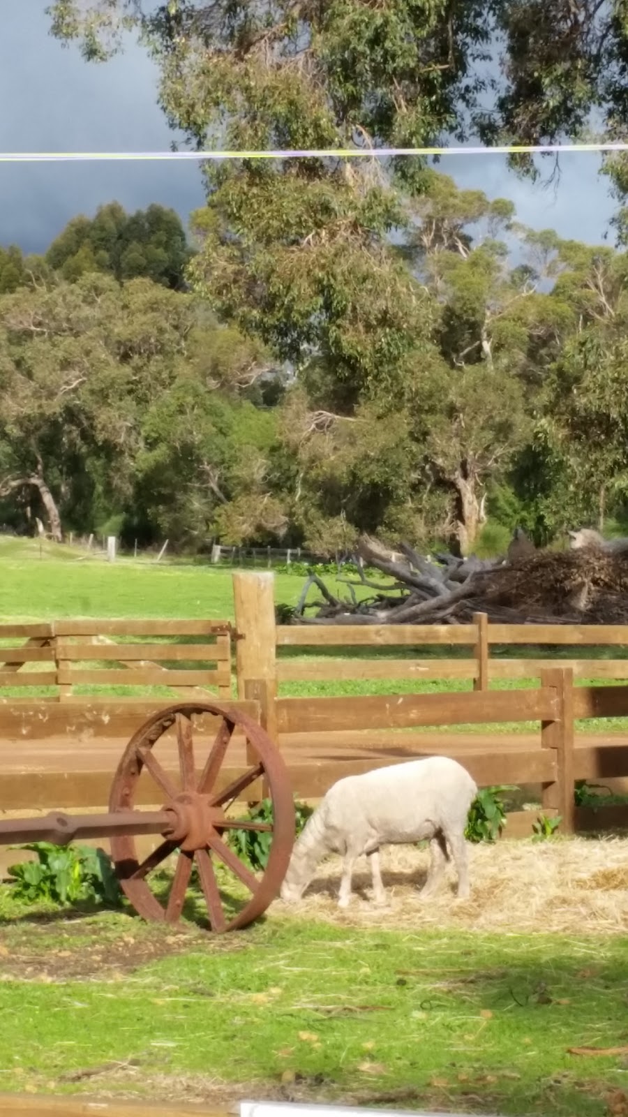 Yallingup Shearing Shed | 1442 Wildwood Rd, Yallingup WA 6282, Australia