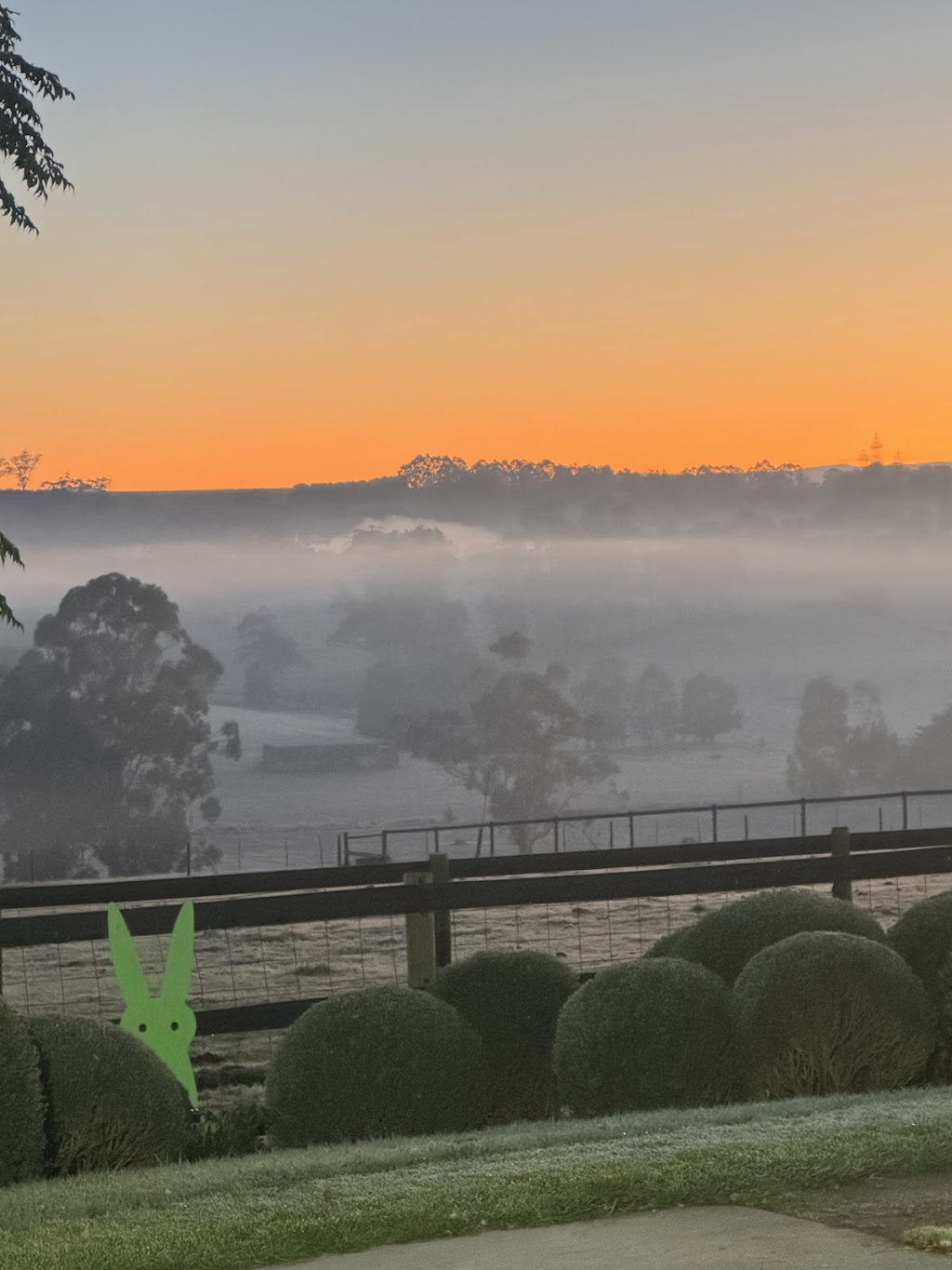 Lillico Nurture | 500 Copelands Rd, Lillico VIC 3820, Australia | Phone: 0418 372 880