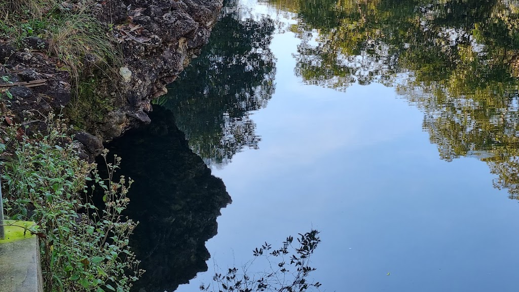 5 Mile Creek Swimming Hole | 284 Five Mile Creek Rd, Damper Creek QLD 4849, Australia | Phone: (07) 4066 8601