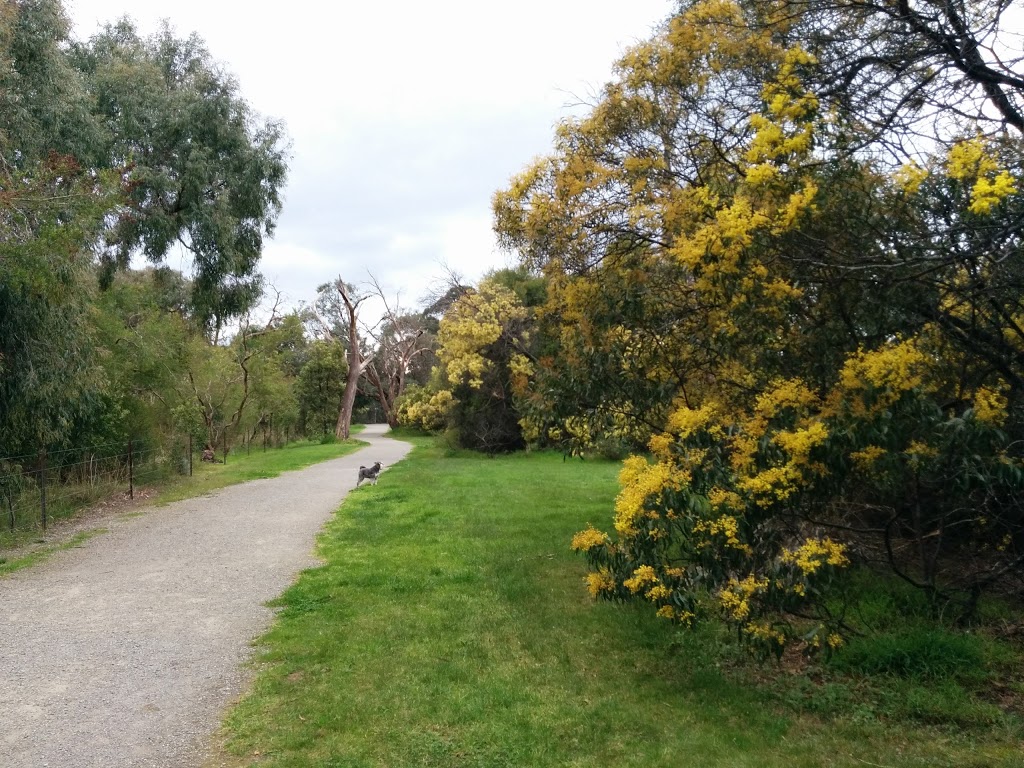 Wattle Park | park | Riversdale Rd, Burwood VIC 3125, Australia | 131963 OR +61 131963