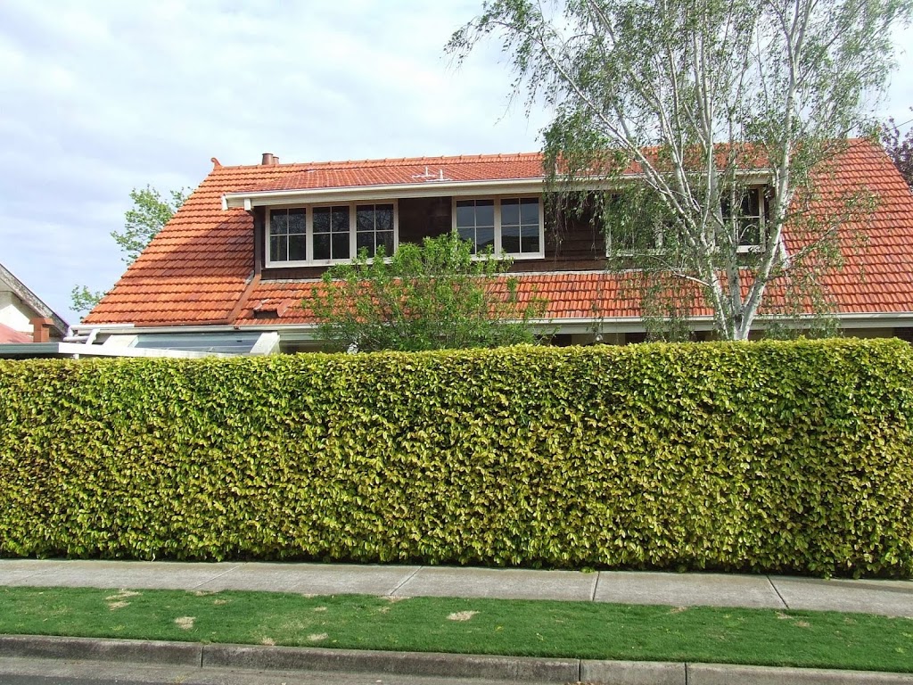 Lees Roof Treatment | 37 Grayling St, Belmont VIC 3216, Australia | Phone: (03) 5244 4591