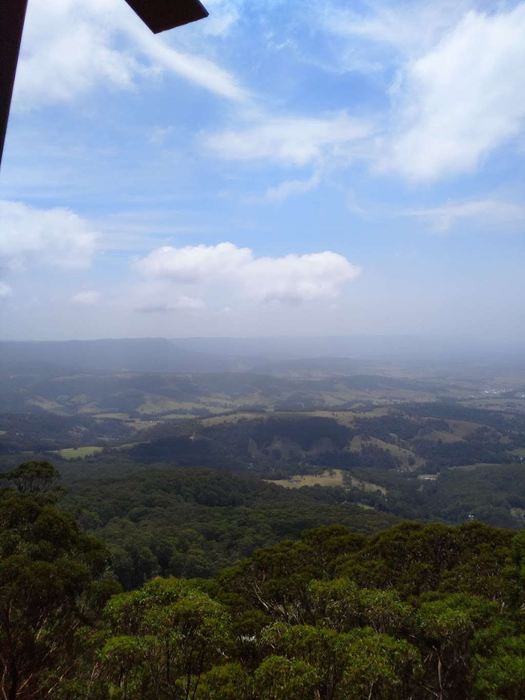 Warrigal Albion Park Rail | 2 Pine St, Albion Park Rail NSW 2527, Australia | Phone: (02) 4230 8100