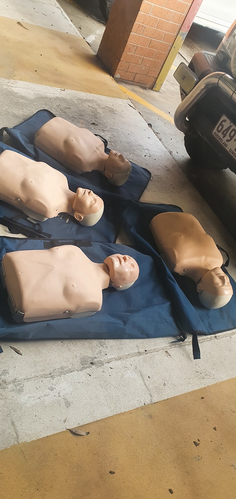 First Aid and CPR Training |  | Licuala Dr, Tamborine Mountain QLD 4272, Australia | 0431568001 OR +61 431 568 001