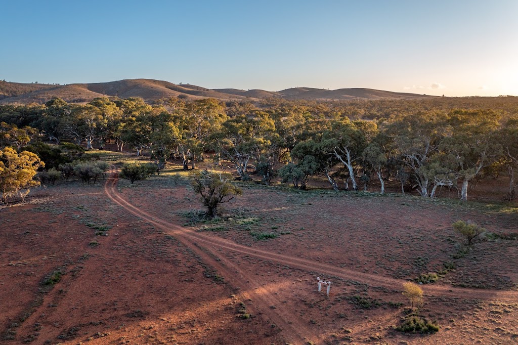 Arcoota Creek | Holowiliena Station, Arcoota Creek Campsites, Holowiliena SA 5432, Australia | Phone: (08) 8648 4868