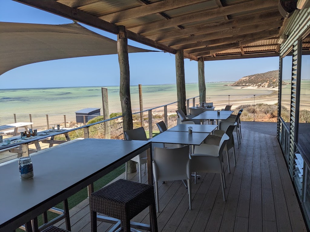 Shark Bay Marine Park | 89 Knight Terrace, Denham WA 6537, Australia | Phone: (08) 9948 2226