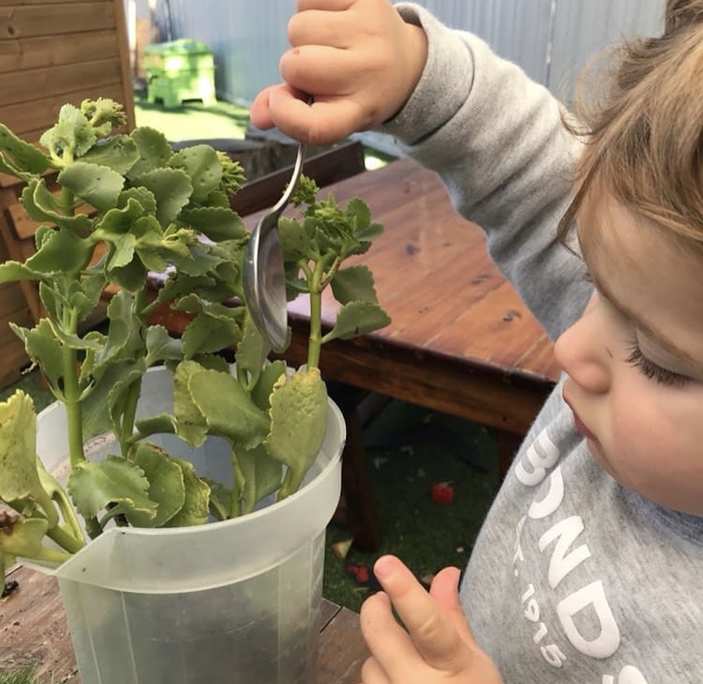 Jnr Explorers Early Learning Centre | 146 Morts Rd, Mortdale NSW 2223, Australia | Phone: (02) 9580 4280