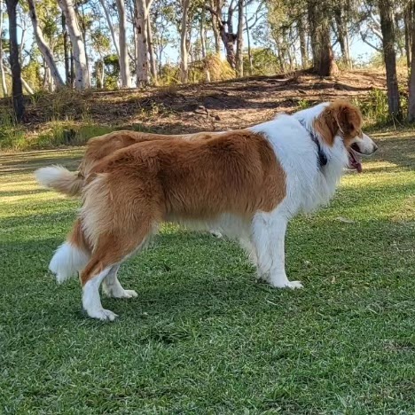 Mona Cottage | 14-18 Mona Rd, Woongarrah NSW 2259, Australia | Phone: 0436 360 834