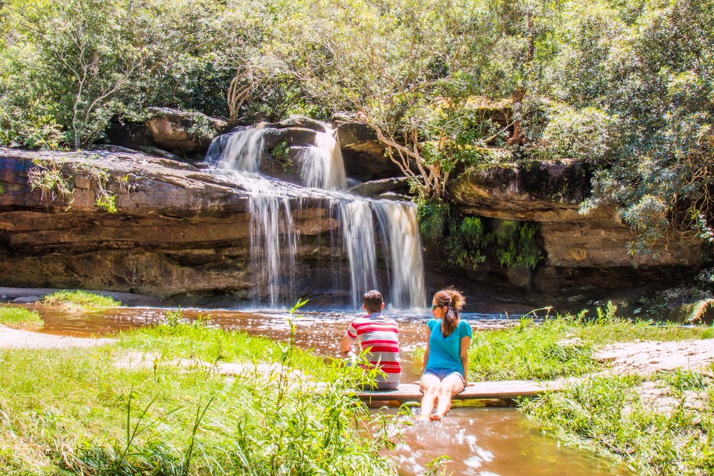 Warriewood Wetlands | park | 14 Jacksons Rd, Sydney NSW 2102, Australia | 0299701111 OR +61 2 9970 1111