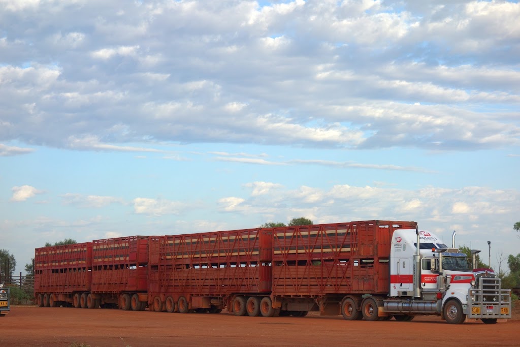 Mitchells Livestock Transport | 443 McNeill Rd, Waroona WA 6215, Australia | Phone: (08) 9733 1246