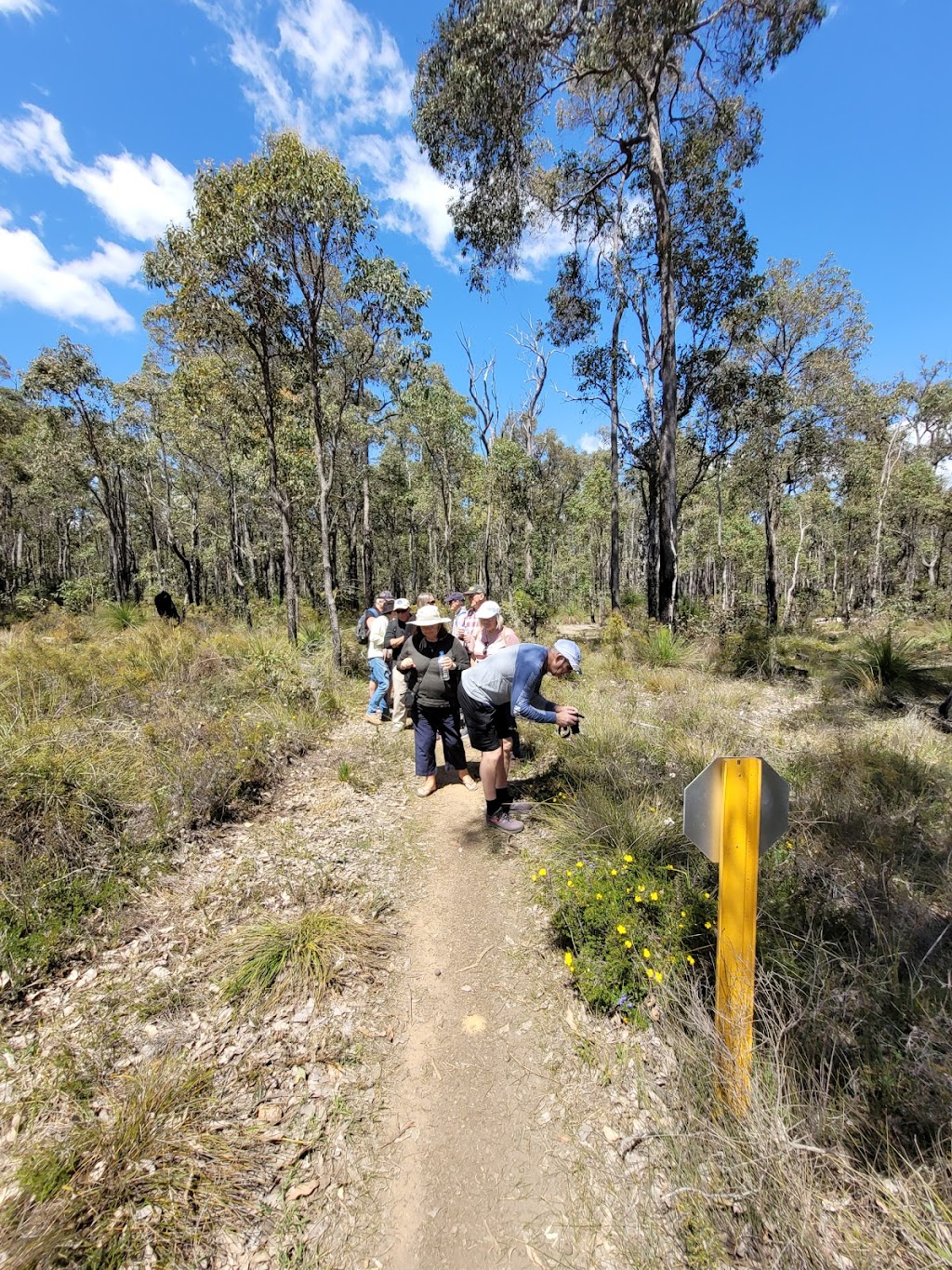 Collie Tours WA /Forest Explorers | tourist attraction | Forrest St, Collie WA 6225, Australia | 0427981187 OR +61 427 981 187