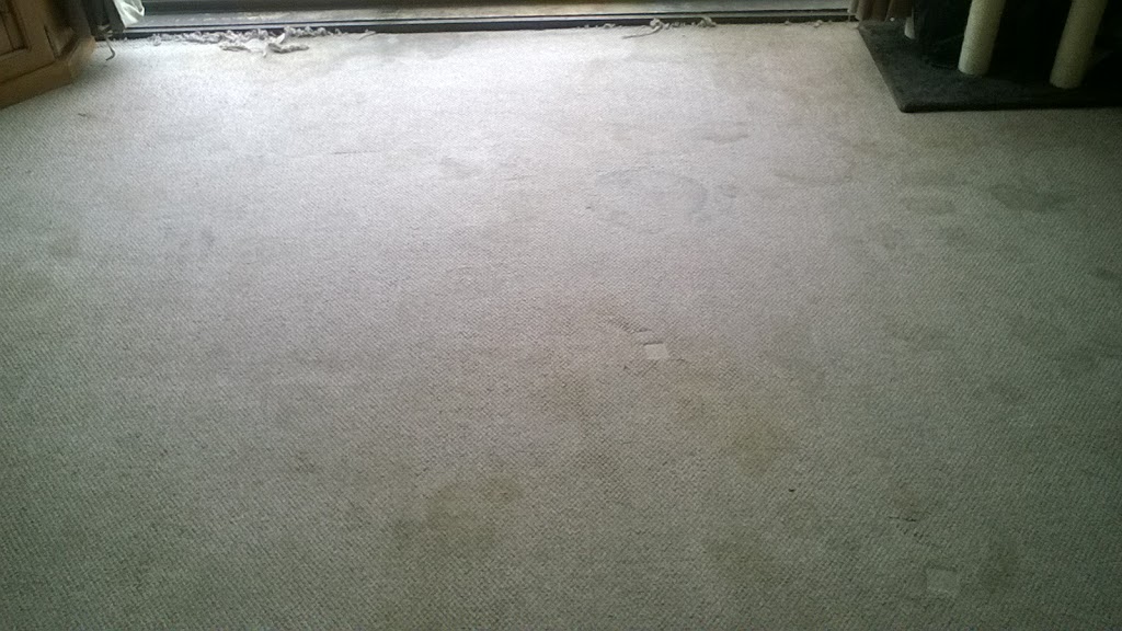 Sapphire Carpet Cleaning Services | 15 Aroona Ct, Ngunnawal ACT 2913, Australia | Phone: 0402 789 623
